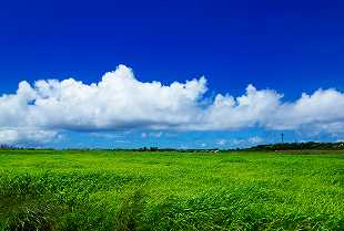 沖縄の雲と空