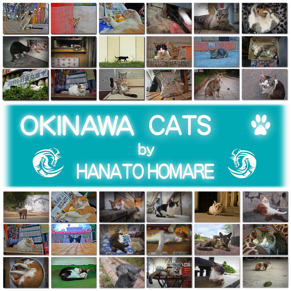 沖縄の猫たち　写真集・ポストカード by 花都誉